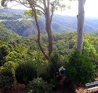 Mt Tamborine Motel - Accommodation Directory