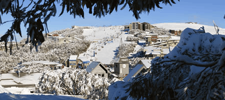 Alpine Ridge Lodge - Accommodation Directory