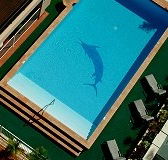 Pacific International Hotel - Accommodation Directory