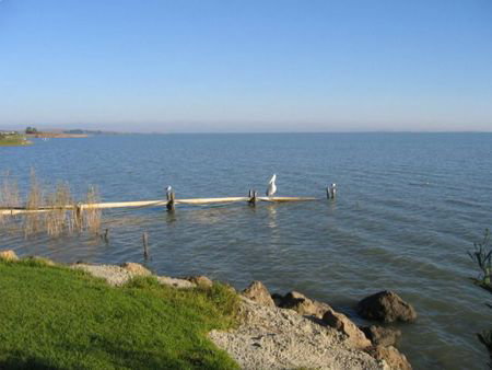 Lake Albert Caravan Park - Accommodation Directory 5