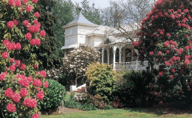Anabel's of Scottsdale - Accommodation Directory