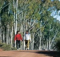 Congelin Camp at Dryandra Woodland - Accommodation Directory