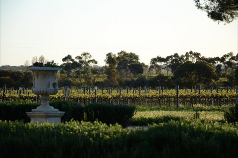 Angas Plains Estate Wines Heritage Suite - Accommodation Directory 6