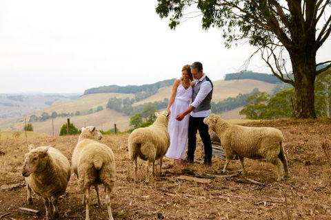 Halcyon Cottage Retreat - Self Contained Accommodation - Accommodation Directory 2