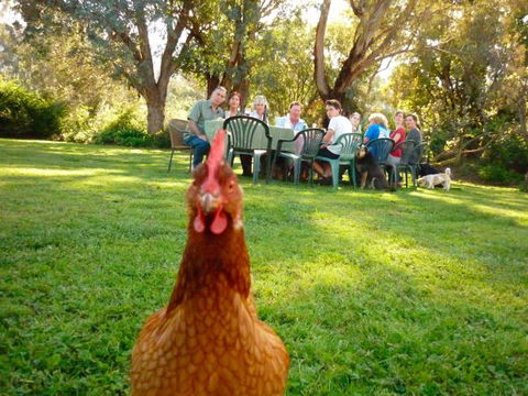 Baranduda Homestead B&B Cottages - Accommodation Directory 9
