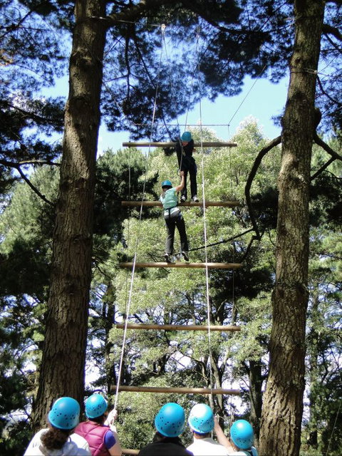 Allambee Camp - Accommodation Directory 9