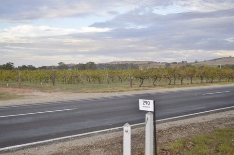 Almond Tree Cottage - Accommodation Directory 5