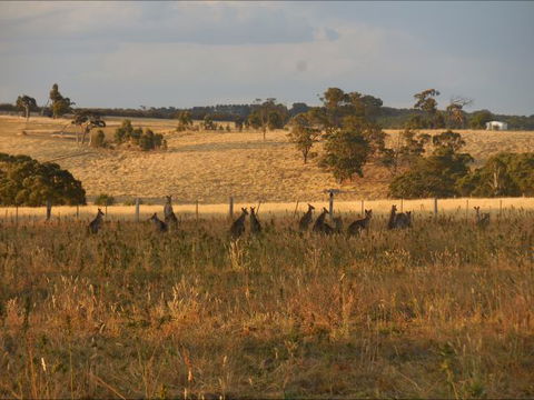 Bunjil Farm - Accommodation Directory 8