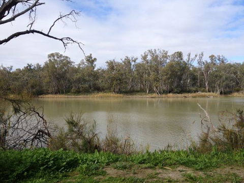 Chowilla Station Shearer's Quarters Accommodation - Accommodation Directory 1