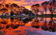 Coonawarra Bush Holiday Park - thumb 0