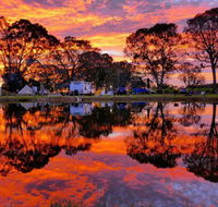 Coonawarra Bush Holiday Park - Accommodation Directory