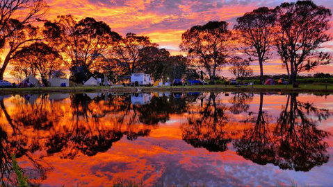 Coonawarra Bush Holiday Park - Accommodation Directory 0