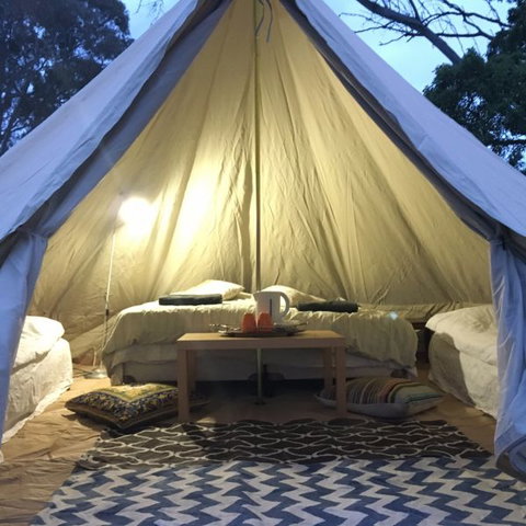 Coonawarra Bush Holiday Park - Accommodation Directory 1