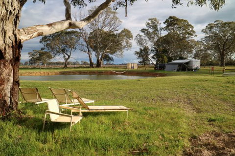 Coonawarra Bush Holiday Park - Accommodation Directory 4