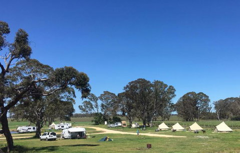 Coonawarra Bush Holiday Park - Accommodation Directory 5
