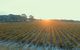 Coonawarra Bush Holiday Park - thumb 7