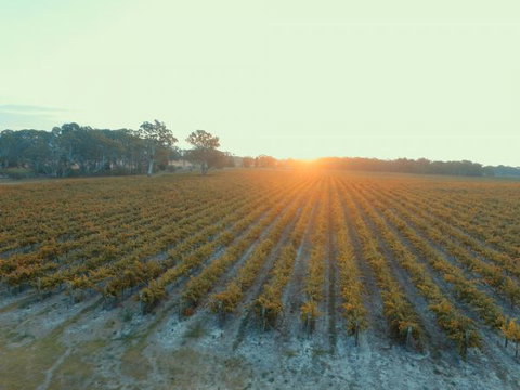 Coonawarra Bush Holiday Park - Accommodation Directory 7