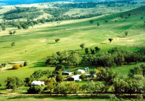 Daisyburn Homestead - Accommodation Directory 0