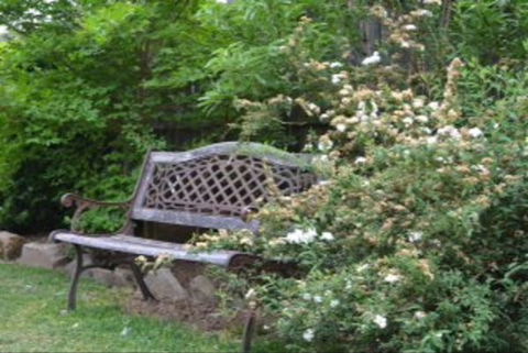 Garden Cottage B And B - Accommodation Directory 4
