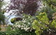 Katoomba Green Gables - thumb 1