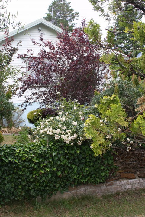 Katoomba Green Gables - Accommodation Directory 1