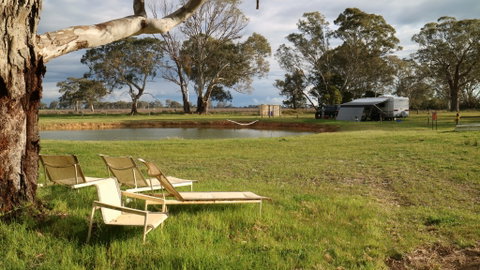 Coonawarra Bush Holiday Park - Accommodation Directory 10