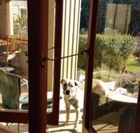 Mara Ponds Branxholm - Accommodation Directory