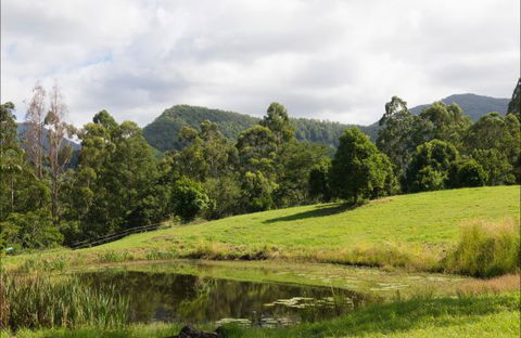 Nimbin Waterfall Retreat - Accommodation Directory 3
