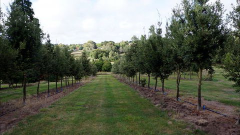 Oakhill Cottage - Accommodation Directory 6