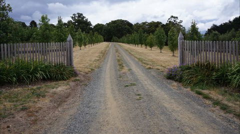 Oakhill Cottage - Accommodation Directory 7