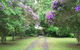 Serendip River Retreat - thumb 0