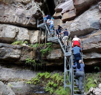 Takarakka Bush Resort Carnarvon Gorge - Accommodation Directory