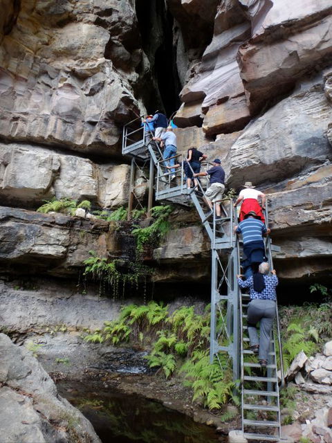 Takarakka Bush Resort Carnarvon Gorge - Accommodation Directory 0