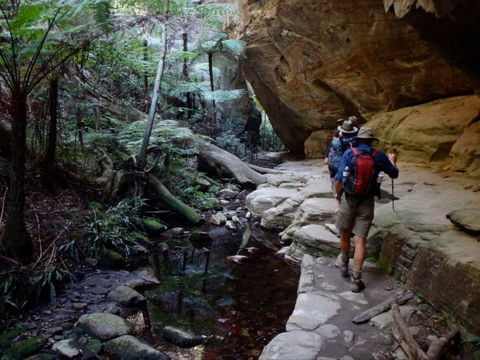 Takarakka Bush Resort Carnarvon Gorge - Accommodation Directory 6