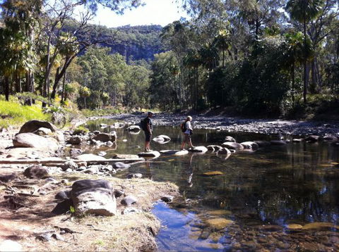 Takarakka Bush Resort Carnarvon Gorge - Accommodation Directory 9