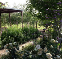 Wandana Bed and Breakfast - Accommodation Directory