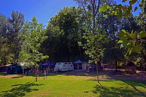 Ardern's Caravan Park Myrtleford - Accommodation Directory 0