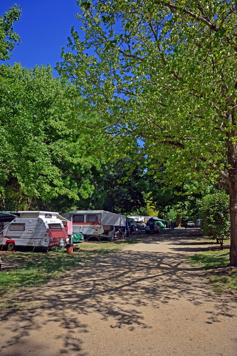 Ardern's Caravan Park Myrtleford - Accommodation Directory 1