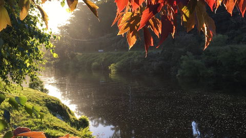 Forth River Cottage - Accommodation Directory 4