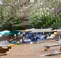 Pebbly Beach campground - Yuraygir National Park - Accommodation Directory