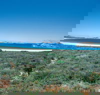 Lucky Bay Campground at Cape Le Grand National Park - Accommodation Directory
