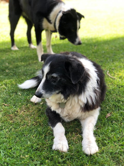 Margaret River Chalets - Accommodation Directory 1