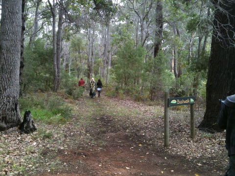 Margaret River Chalets - Accommodation Directory 2