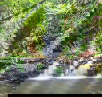 O'Reilly's Rainforest Retreat - Accommodation Directory