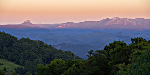 O'Reilly's Rainforest Retreat - Accommodation Directory 1