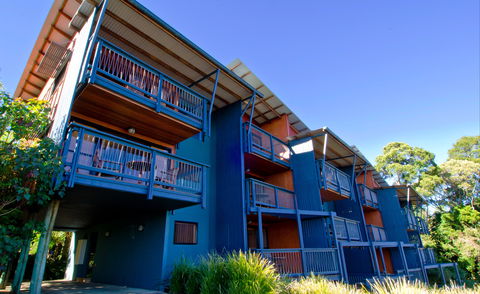 O'Reilly's Rainforest Retreat - Accommodation Directory 7