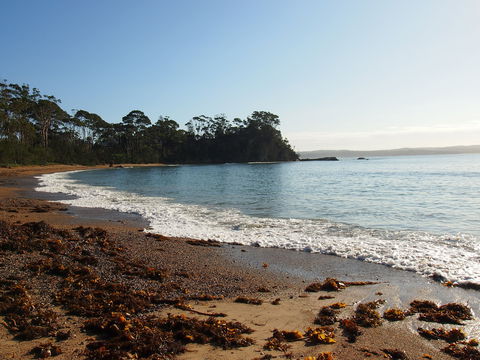 Pleasurelea Tourist Resort - Accommodation Directory 1