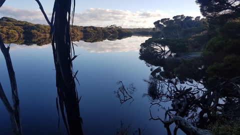 Vivonne Bay Island Getaway - Accommodation Directory 6