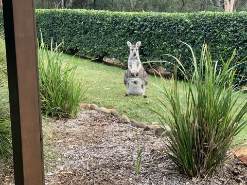 Wild Edge Retreat - Accommodation Directory 9