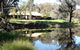 Wildwood Guesthouse - thumb 3